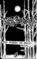 Ravenlord Darkstorm : The Forest of Magic Rain